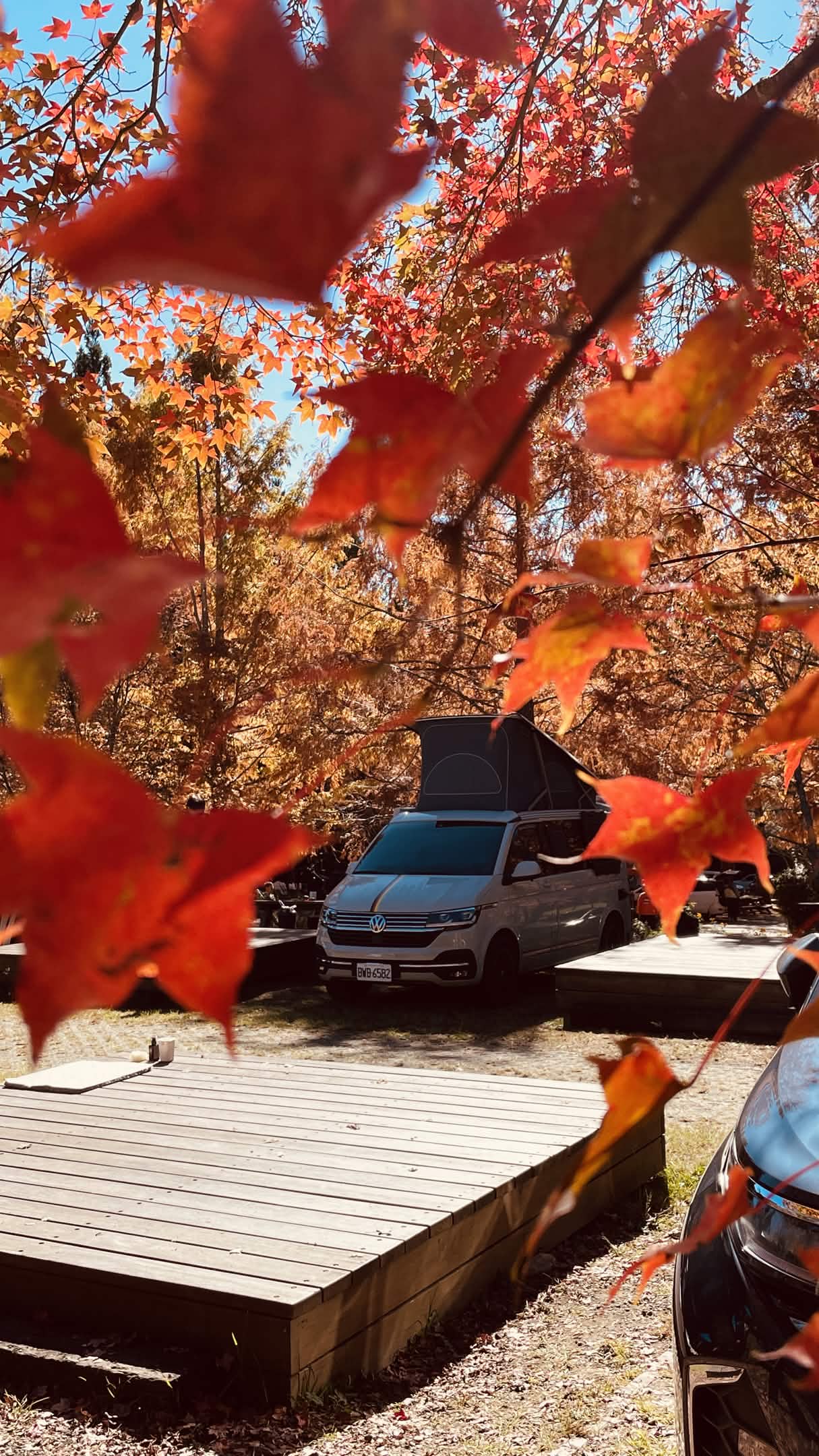 紅葉框景露營車